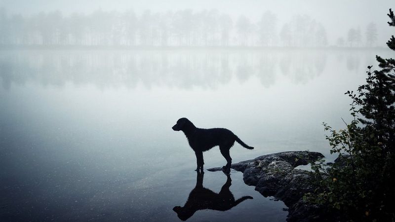 Kaffegram story photo 2